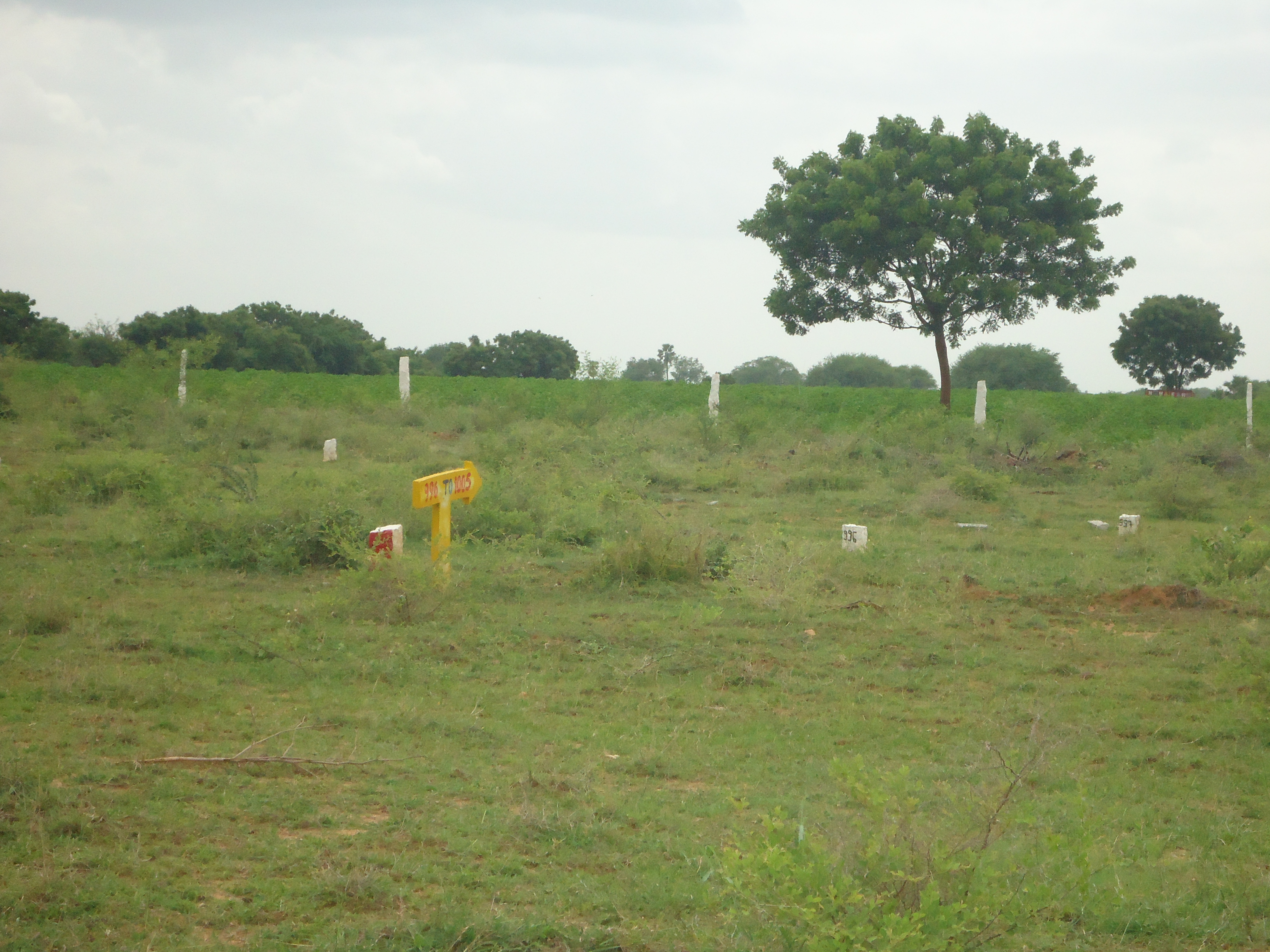 Plot Area