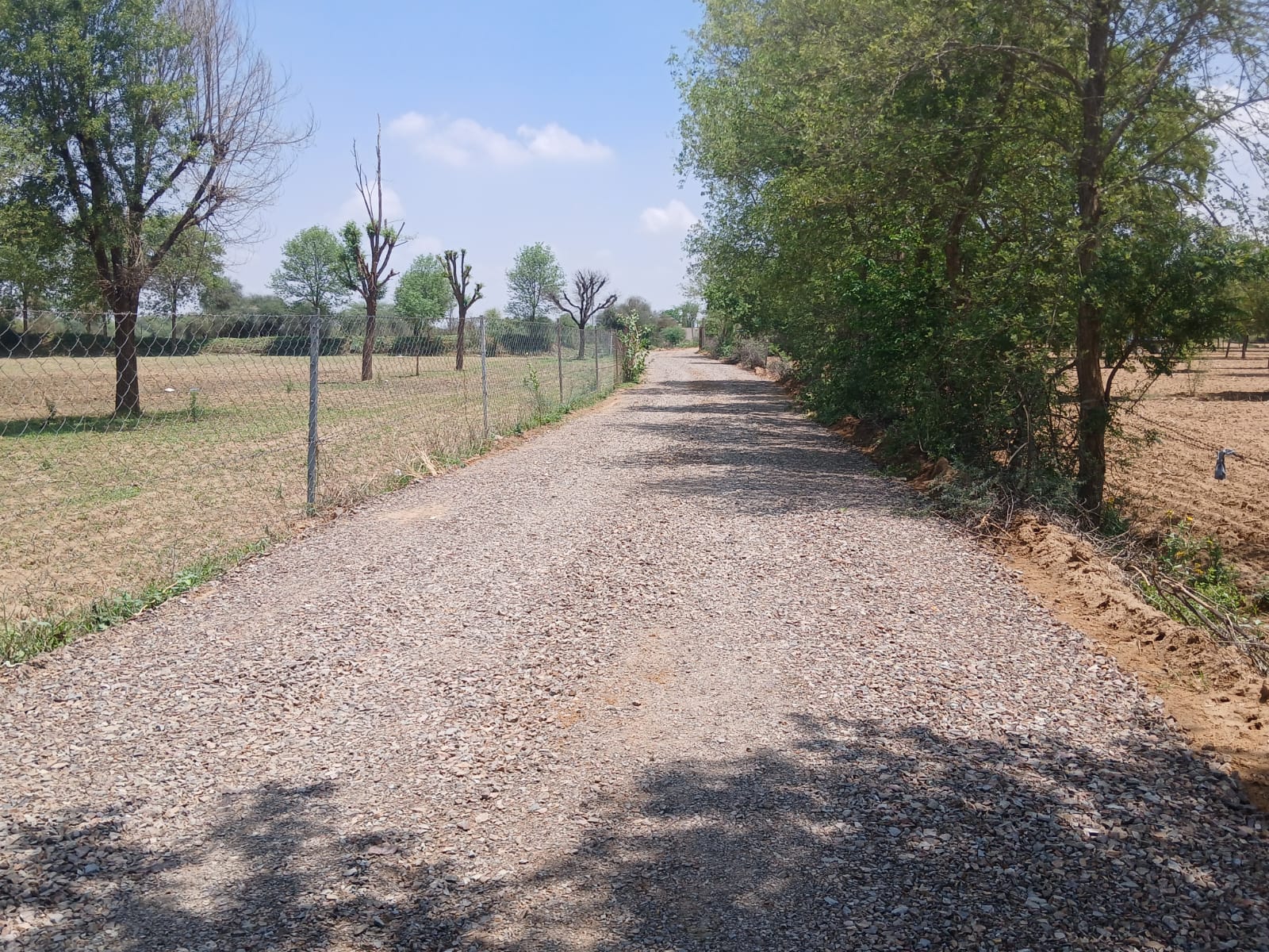 BT Road Work
